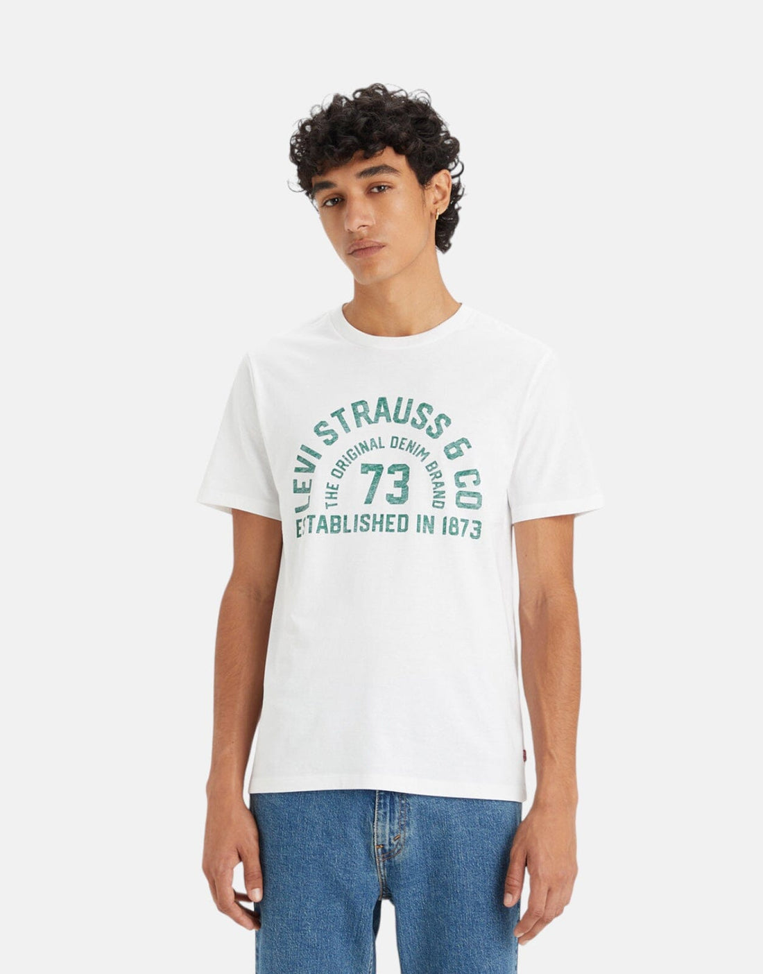 Levi's Graphic Arched Type 7 T-Shirt