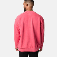 Tommy Hilfiger TJM Skater Timeless Crimson Sweatshirt