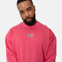 Tommy Hilfiger TJM Skater Timeless Crimson Sweatshirt