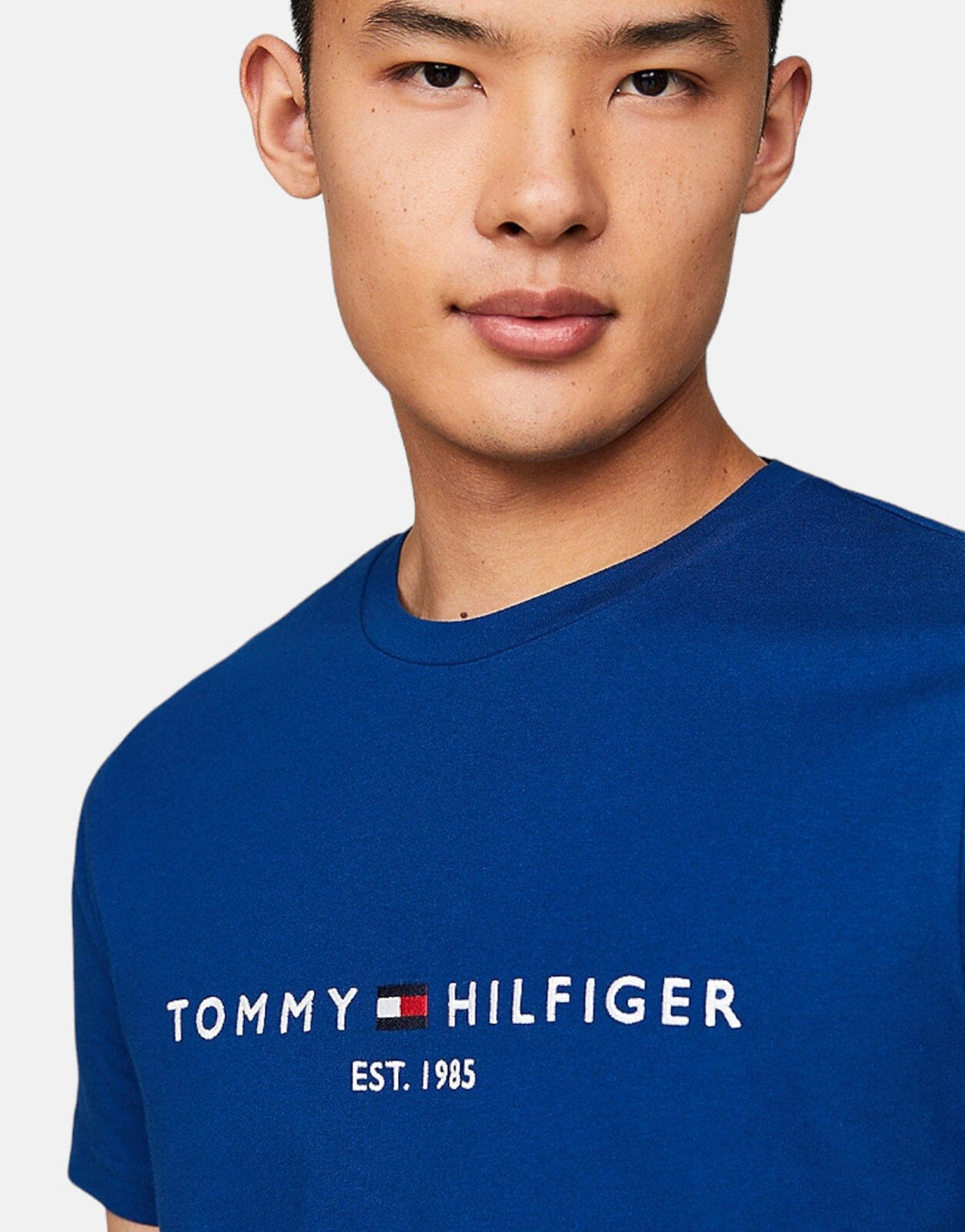 Tommy Hilfiger Tommy Logo T-Shirt Blue