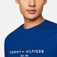 Tommy Hilfiger Tommy Logo T-Shirt Blue