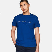 Tommy Hilfiger Tommy Logo T-Shirt Blue