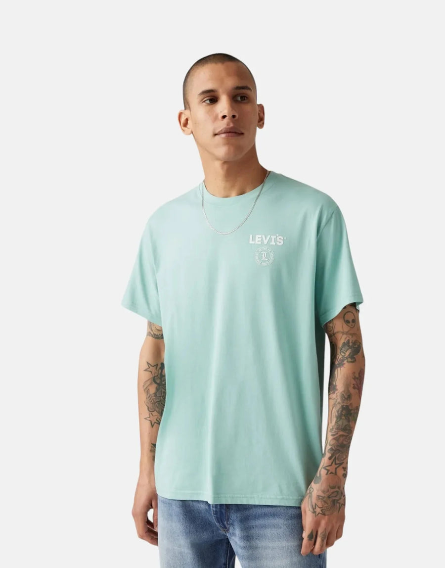 Levi's Relaxed Fit Aquifer T-Shirt